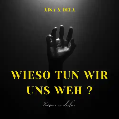 Wieso tun wir uns weh ? Nisa Testo Testi e Traduzioni